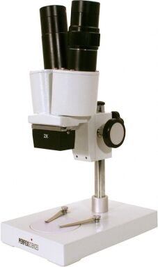 Perfex Sciences Loupe Binoculaire PERFEX Edu 1.1 Perfex Sciences Loupe Binoculaire PERFEX Edu 1.1