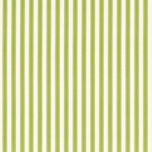 Sanderson Tissu Pinetum Stripe