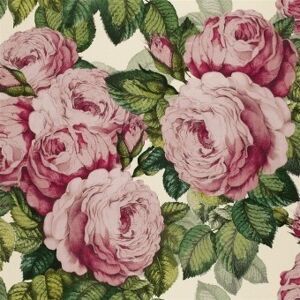 John Derian Papier Peint The Rose