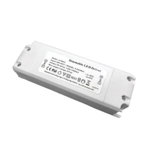 Transformateur 220V 48V DC 45W 1000mA Dimmable - SILAMP
