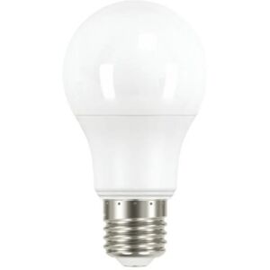 Ampoule LED E27 Dimmable 11W A60 - Blanc Froid 6000K - 8000K - SILAMP