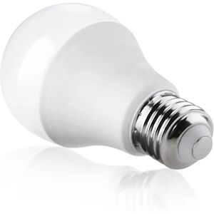 Ampoule LED E27 20W 220V A80 - Blanc Froid 6000K - 8000K - SILAMP