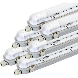 Kit de Réglette LED IP65 + Tube Néon LED 150cm T8 22W (Pack de 6) - Blanc Froid 6000K - 8000K - SILAMP