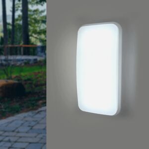 Applique LED Murale 20W Rectangulaire IP65 (Pack de 10) - Blanc Froid 6000K - 8000K - SILAMP