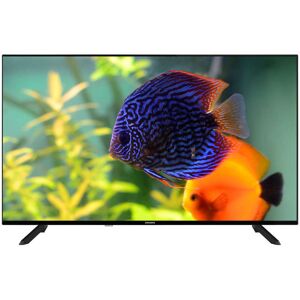 GRANDIN Téléviseur 126 cm UHD 4K LED GRANDIN UD50VGH231S