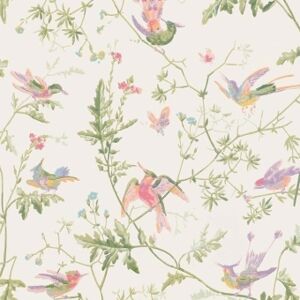 Cole and Son Papier peint Hummingbirds