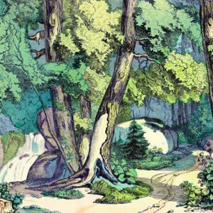 Maison Images d'Epinal Papier peint panoramique Fond de Forêt