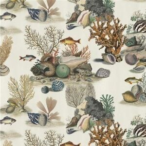 John Derian Tissu Sea Life