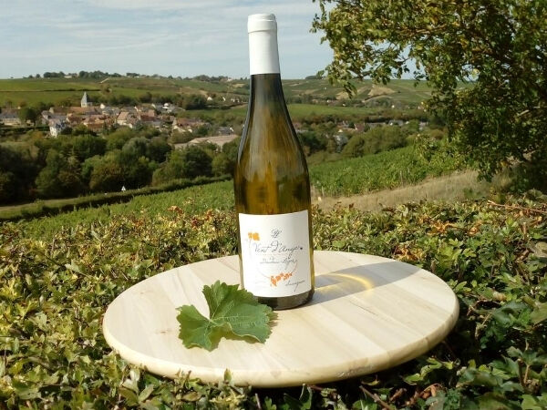 Vent d'Ange - Vin de Pays du Val de Loire Blanc IGP 2022 - 1 Bouteille - En direct de Domaine Doudeau-Leger (Cher)