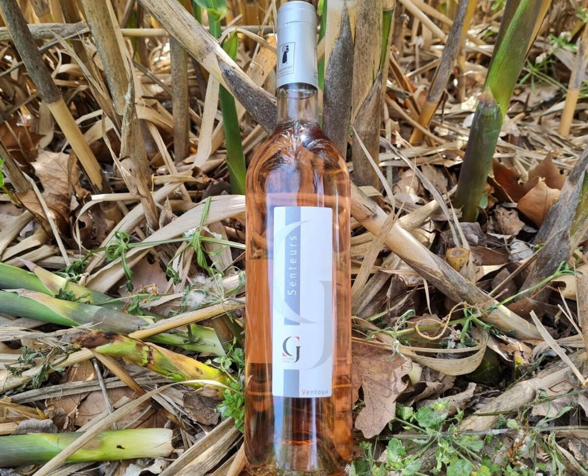 Domaine Girod AOP Ventoux Vin Rosé 2021 / 2022 - En direct de Domaine Girod (Vaucluse)