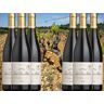 Vieilles Vignes Rouge 2019 Fûts de chêne AOP Massif d’Uchaux Villages x6 - En direct de Château Saint Estève d'Uchaux (Vaucluse)