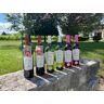 Trilogie Moulin-Pouzy x2 - En direct de Vignobles Fabien Castaing (Dordogne)