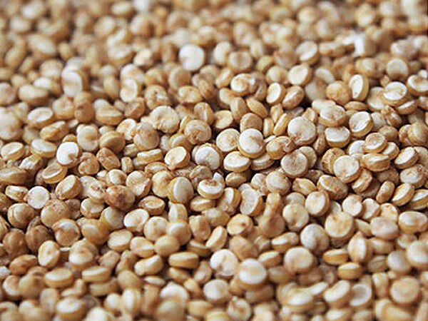 Mon Petit Producteur Quinoa Bio [500g]