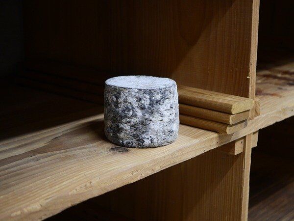 Persillé de chèvre Bleu Noir - En direct de Alléosse Maitre Artisan Affineur Fromager (Paris)