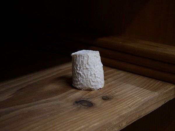 Chabichou du Poitou AOP - En direct de Alléosse Maitre Artisan Affineur Fromager (Paris)