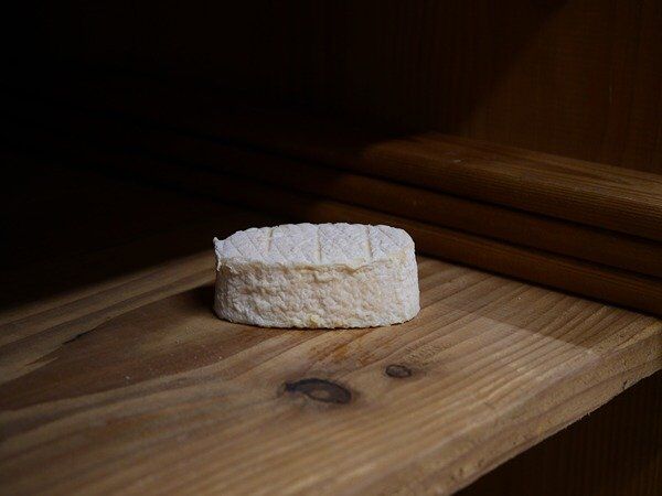 Chevrette du Poitou - En direct de Alléosse Maitre Artisan Affineur Fromager (Paris)