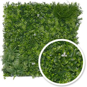 Mur vegetal Liseron : 1m x1m