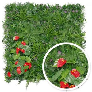 Mur vegetal Tropical : 1m x 1m