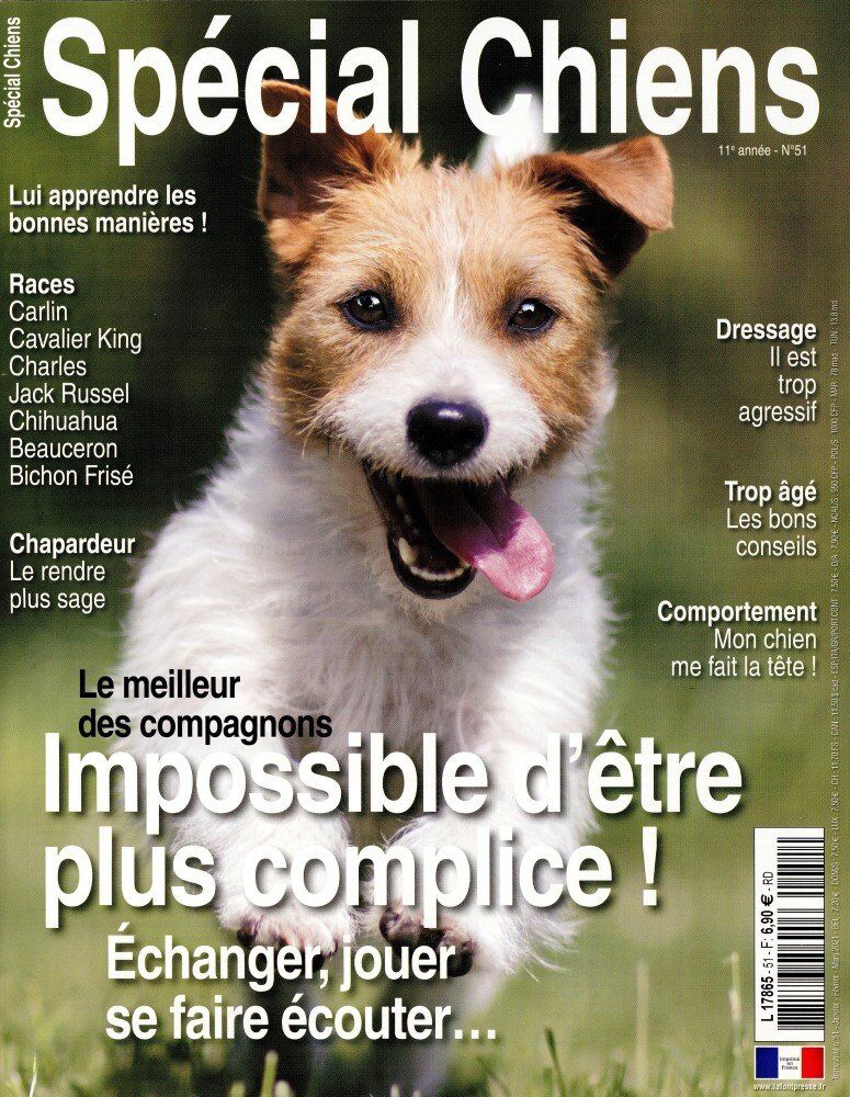 Spécial Chiens Spécial Chiens