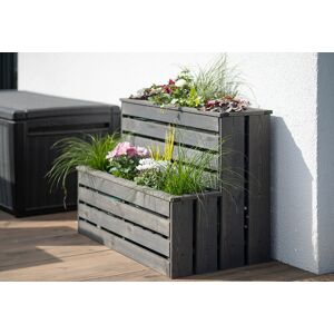 Westmann Jardinière en bois de pin Duett - 100 x