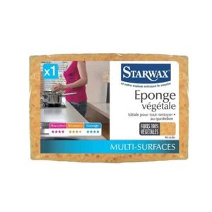 Éponge gros travaux Starwax