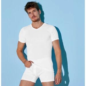 Blancheporte Tee-shirt sous-vêtement homme col V - lot de 6 - BlancheporteQualité supérieure 100% coton pour un tee-shirt tout en douceur et confort du coton côtes 1x1.2XLBlanc