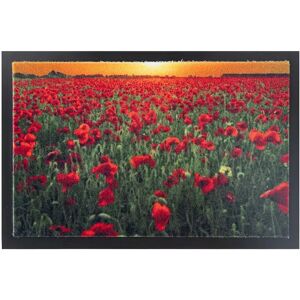 Blancheporte Tapis anti-poussière motif coquelicots - BlancheporteCe tapis au motif coquelicots retient la poussière et comporte un dessous antidérapant et un décor original !Tapis : 60x80cmUnique