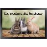 Tapis anti-poussière motif lapins - BlancheporteQuoi de mieux que d'être accueilli chez soi par des petits lapins ? Ce tapis retient la poussière et comporte un dessous antidérapant et un décor original !Tapis : 40x60cmUnique