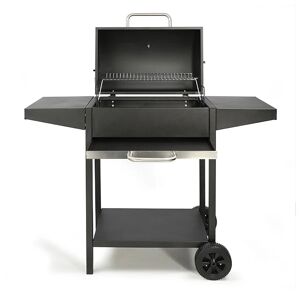Barbecue a charbon rectangle DOC250 Livoo []