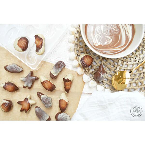 Moule rigide pour chocolats Friture de pâques Scrapcooking []