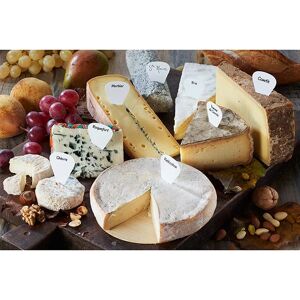 Boite de 16 etiquettes marque-fromages [Bois]