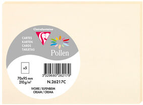 Clairefontaine Sachet de 5 cartes simples Pollen 70x95 210g/m2 - Ivoire - Lot de 20 Noir