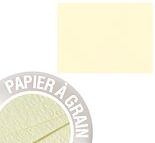 Paquet de 25 cartes simples Grain de Pollen 70x95mm 210g/m² - Eau de citron - Lot de 6