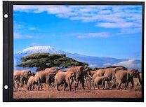 Exacompta Recharge 10 feuillets en carte noire rigide pour album photos à vis - 30 ,7x21,6 cm - Noir - Lot de 5 Exacompta Recharge 10 feuillets en carte noire rigide pour album photos à vis - 30 ,7x21,6 cm - Noir - Lot de 5