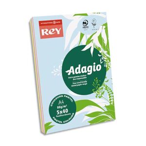 Rey Ramette 40 feuilles x 5 teintes papier couleur pastel & vive ADAGIO assortis pastel&vifs A4 80g - Lot de 2
