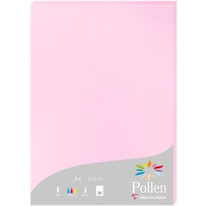 Clairefontaine Etui de 25 feuilles Pollen 210x297 210g/m2 - Rose dragée - Lot de 2 Ivoire