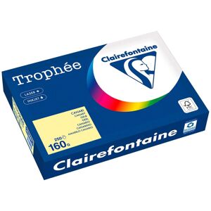 Ramette papier couleur Clairefontaine Trophée couleurs pastel A4 160 gr