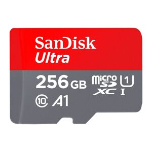 SanDisk Carte mémoire micro SDHC 256 Go SANDISK avec adaptateur