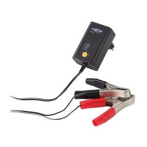 Ansmann Chargeur pour batterie de voiture, 2 / 6 et 12 Volt