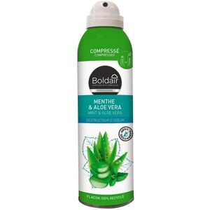 Boldair Destructeur d'odeurs Boldair Menthe & Aloe vera - Aérosol 250 ml