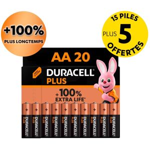 Duracell Pile AA- LR06 Duracell Plus 1,5V