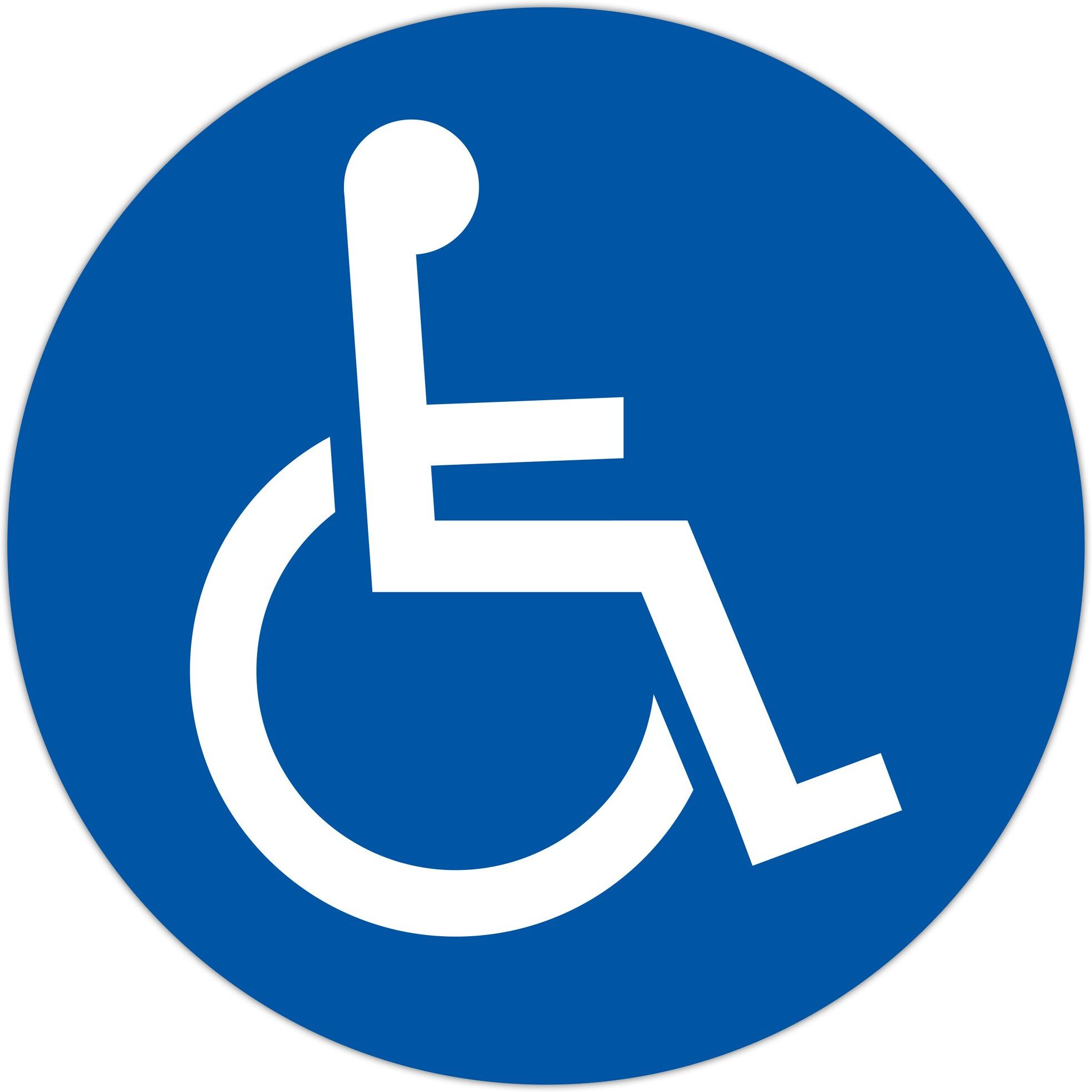 Exacompta Panneau polypropylène non adhésif Parking réservé handicapé 30 cm 67113E Vert