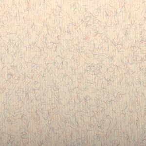 Clairefontaine Ingres Pastel paquet 25F 50x65cm 130g - Beige marbré Tabac - Publicité