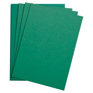 Clairefontaine Etival Color paquet 24F 50x65cm 160g - Vert foncé Vert tilleul - Publicité