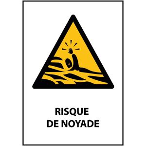 Panneau - Risque De Noyade - 210 x 297 - PVC - Lot de 3