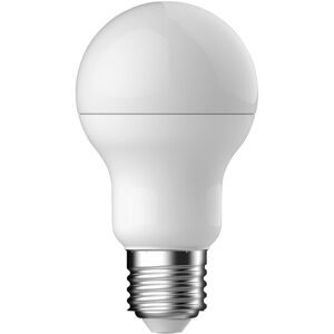 Energetic Ampoule LED Standard - E27 100W Blanc