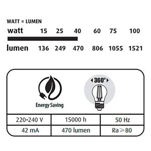 Energetic Ampoule LED Filament Mini Globe - E27 40W Noir/multicolore