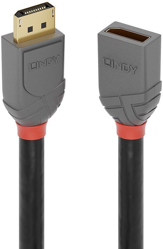 Lindy 36498 câble DisplayPort 3 m Noir