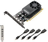 Nvidia Quadro P1000 - carte graphique - Quadro P1000 - 4 Go - Adaptateurs inclus