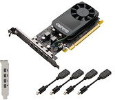 Nvidia Quadro P620 - carte graphique - Quadro P620 - 2 Go - Adaptateurs inclus